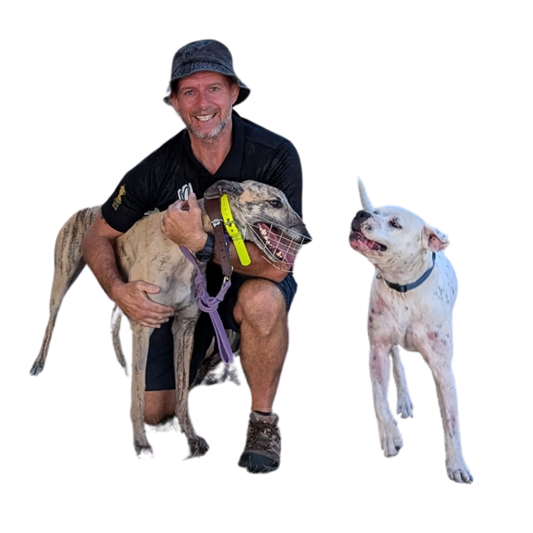 Our story the dog adventure co