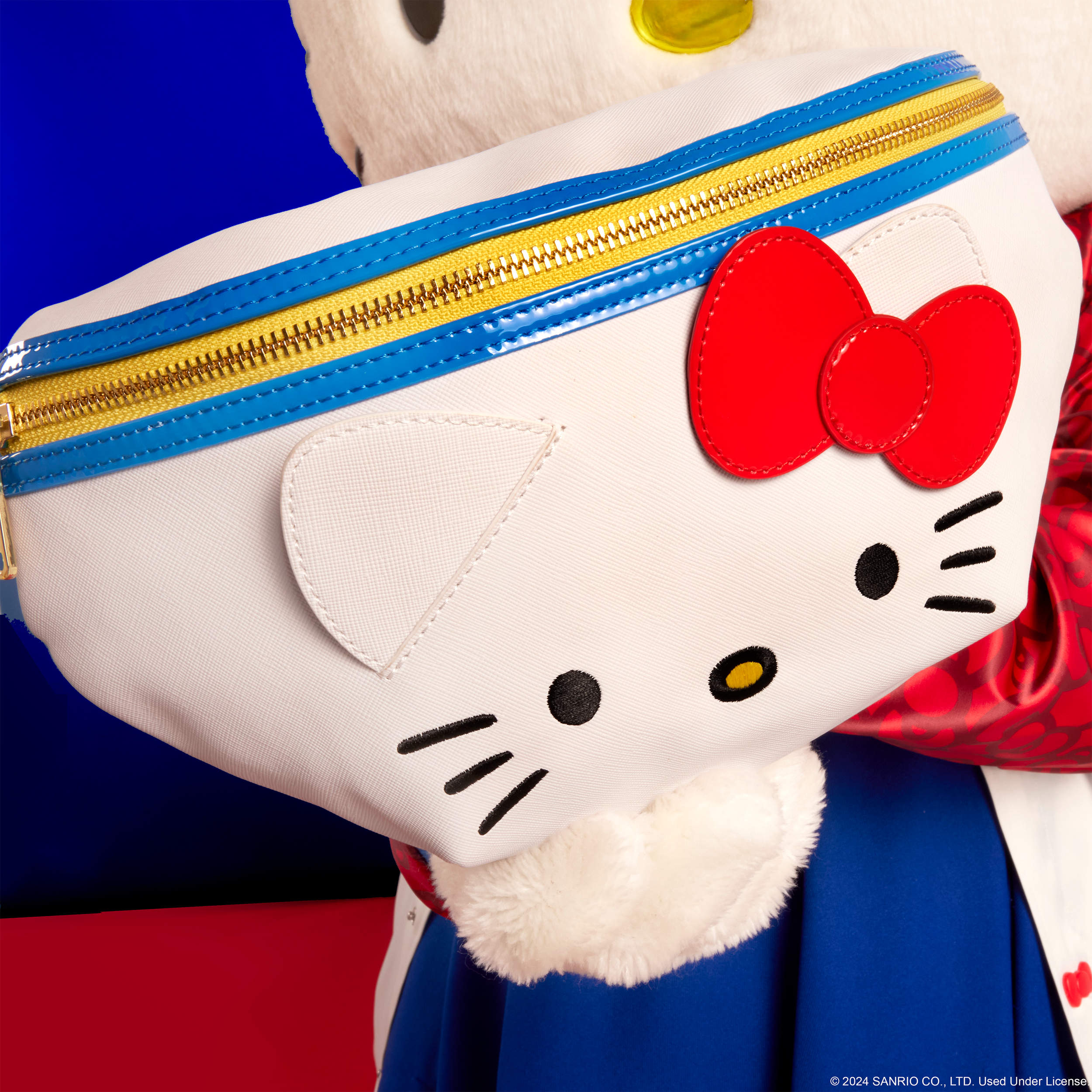 DTC-HELLO-KITTY-50THANNIVERSARY-046.png