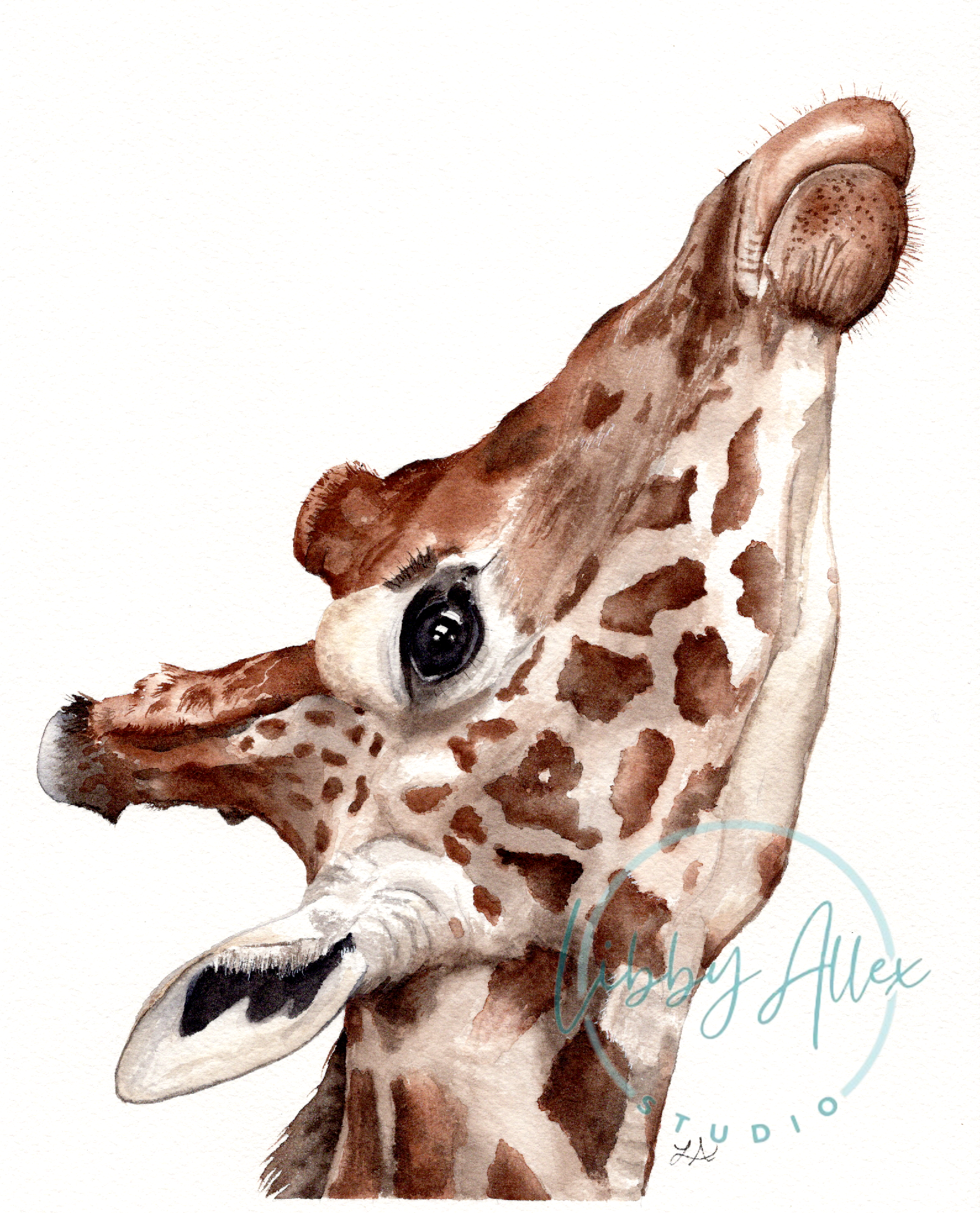 Gentleness Watermark.png