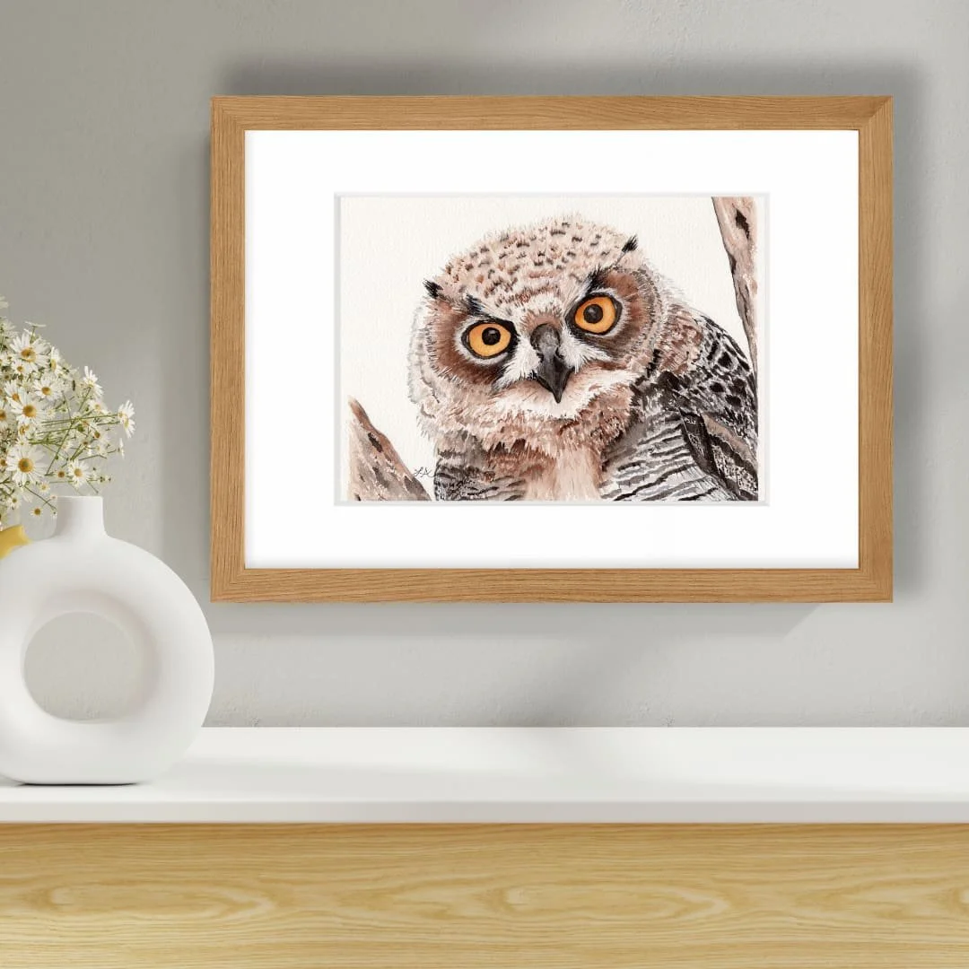 Original - Watchful Owl – Watercolor Painting (8x10, Matted to 11x14)