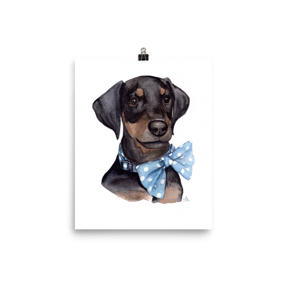 enhanced-matte-paper-poster-(in)-8x10-transparent-6807d99750c83.jpg