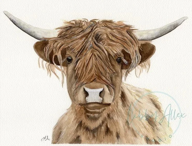 Highland Cow · 8 × 10 inches · Watercolor on 100% cotton paper · 2025 · Available · $175