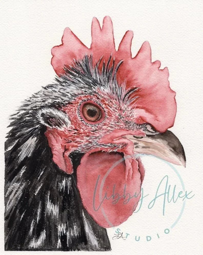 Rooster+Watermark+-+SEO.jpg