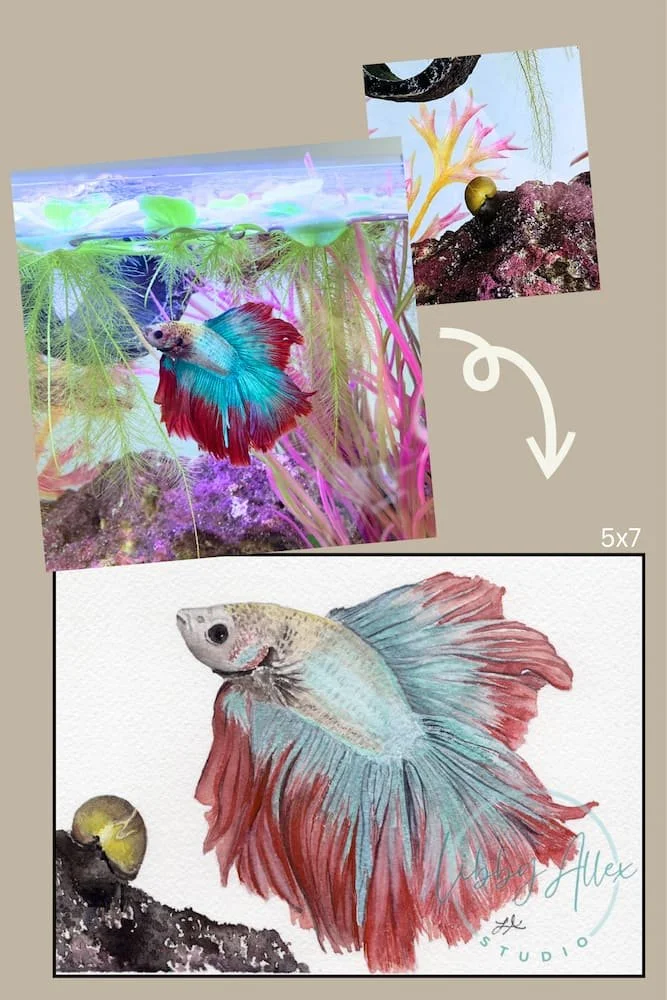 Before and After - Zeus & Gullivers SEO.jpg