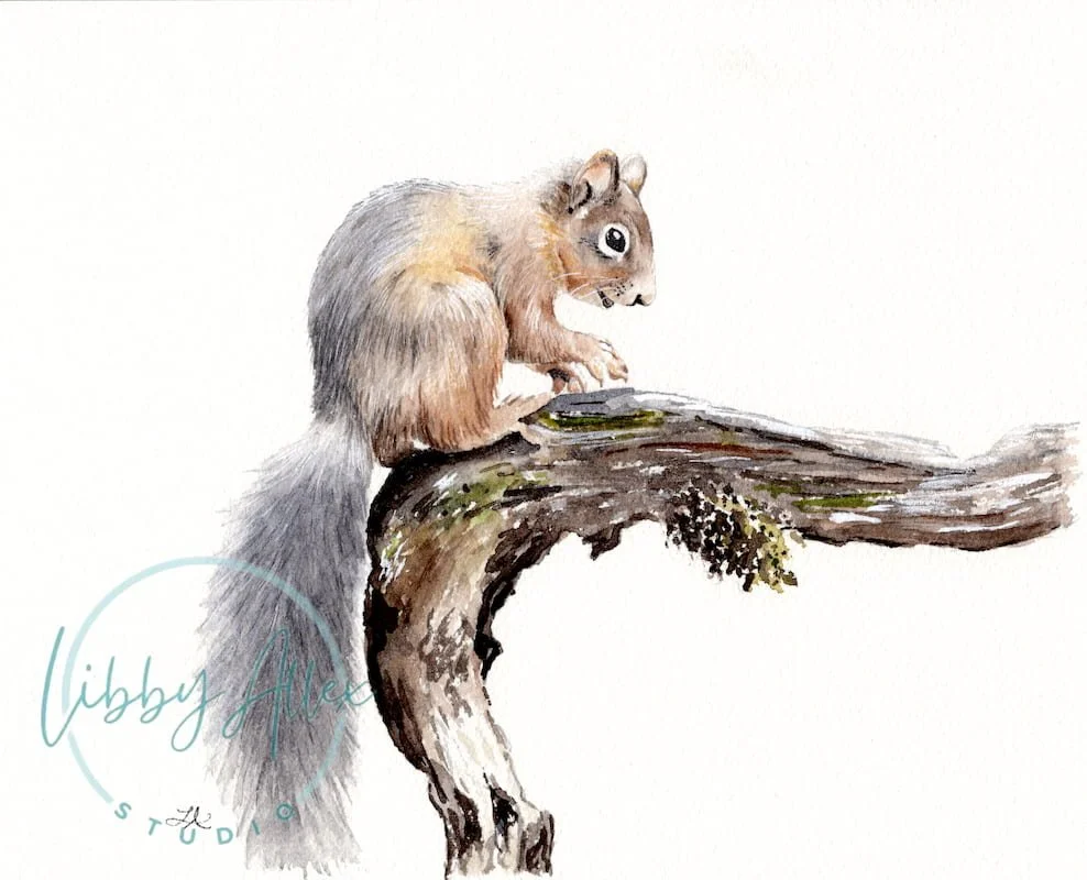 Squirrel Watermark SEO.jpg