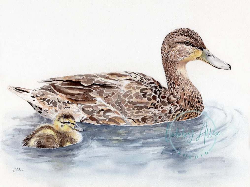 Ducks Watermark SEO.jpg