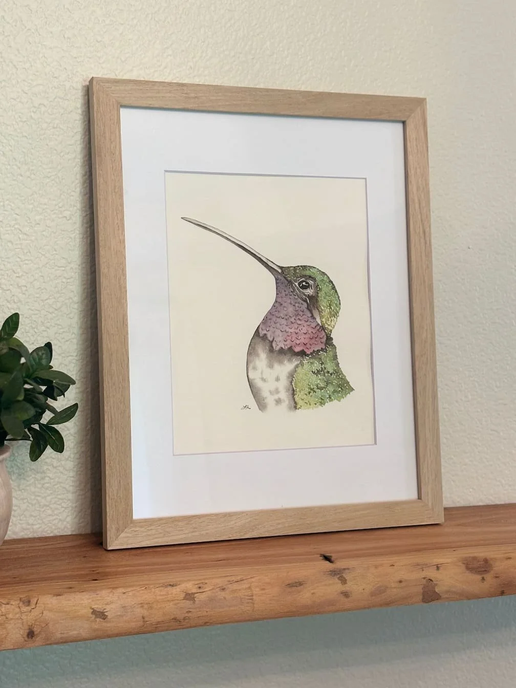 Hummingbird | Framed Original Watercolor Painting