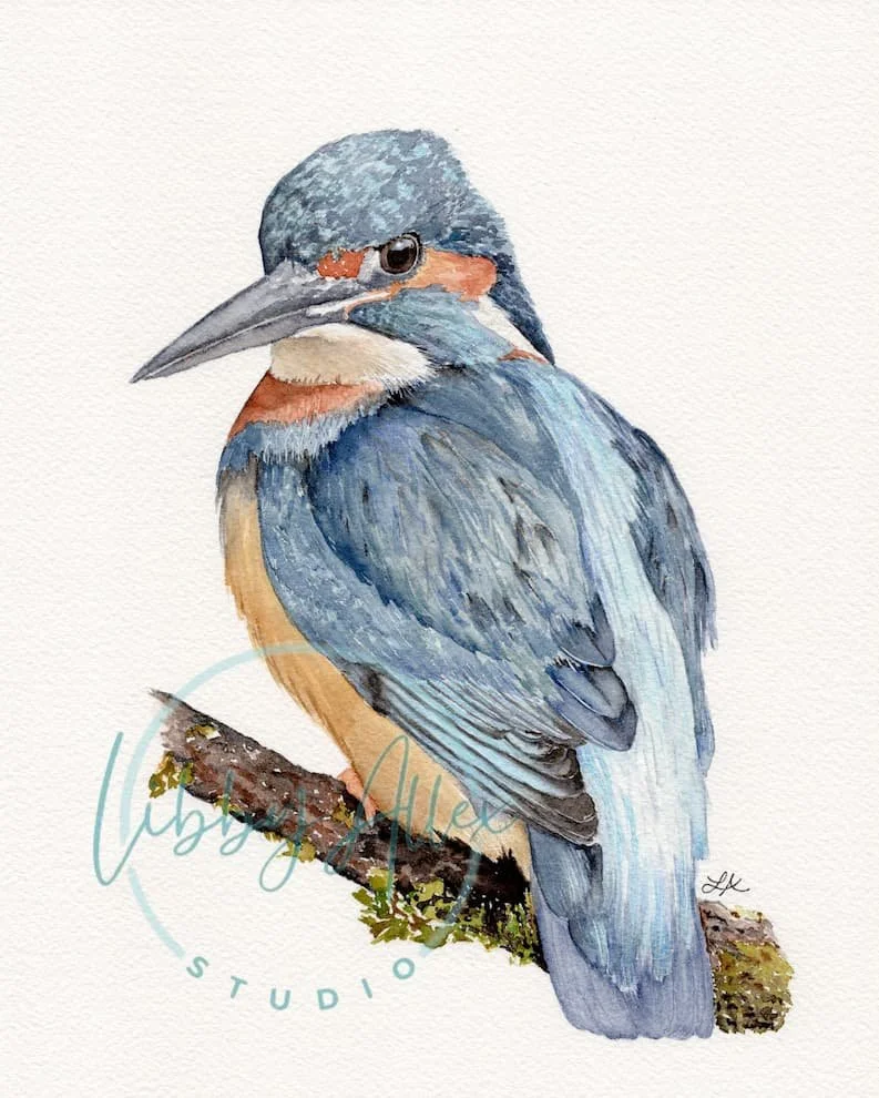 Kingfisher Watermark SEO.jpg