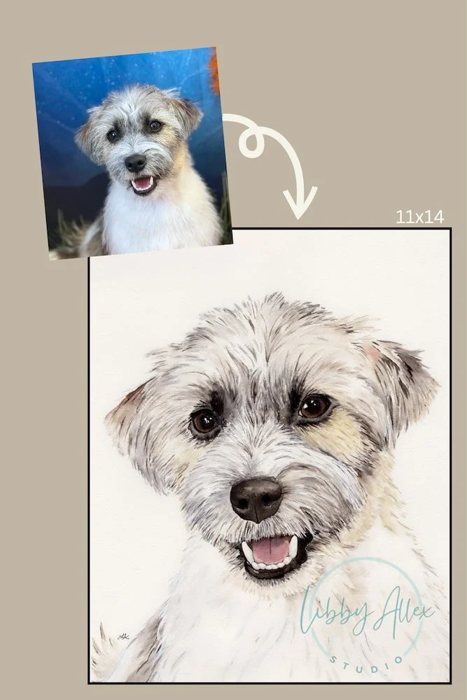 Biscuit Before and After - SEO.jpg