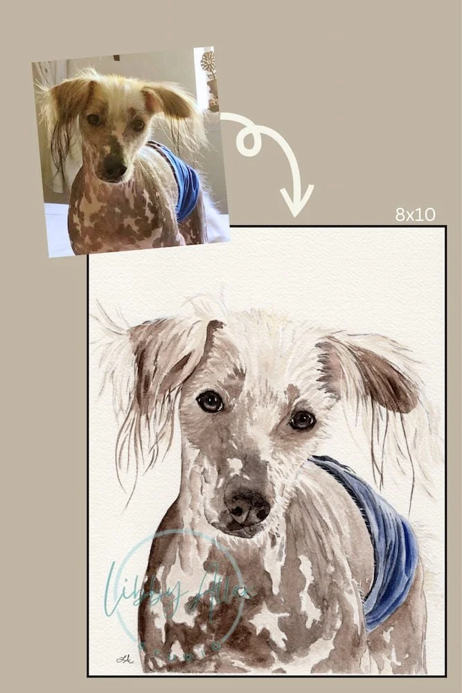 Walla Before and After - SEO.jpg