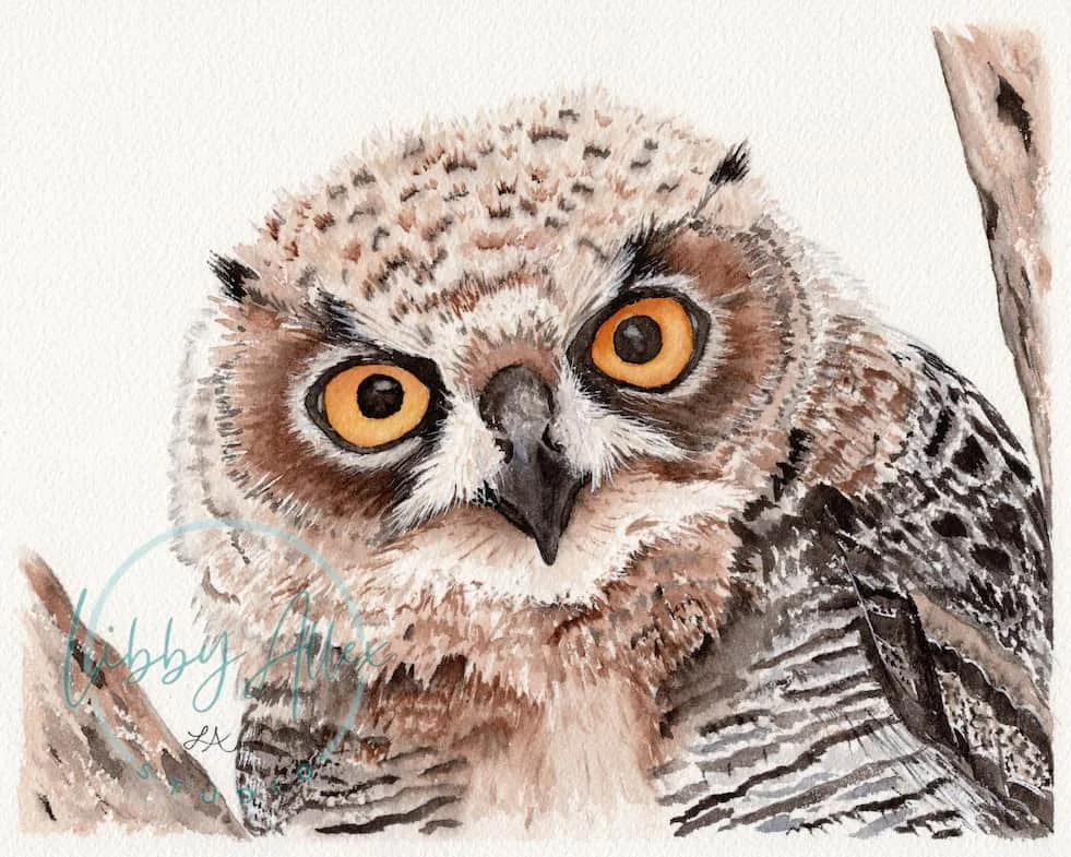 Owl in the Trees - Watermark SEO.jpg