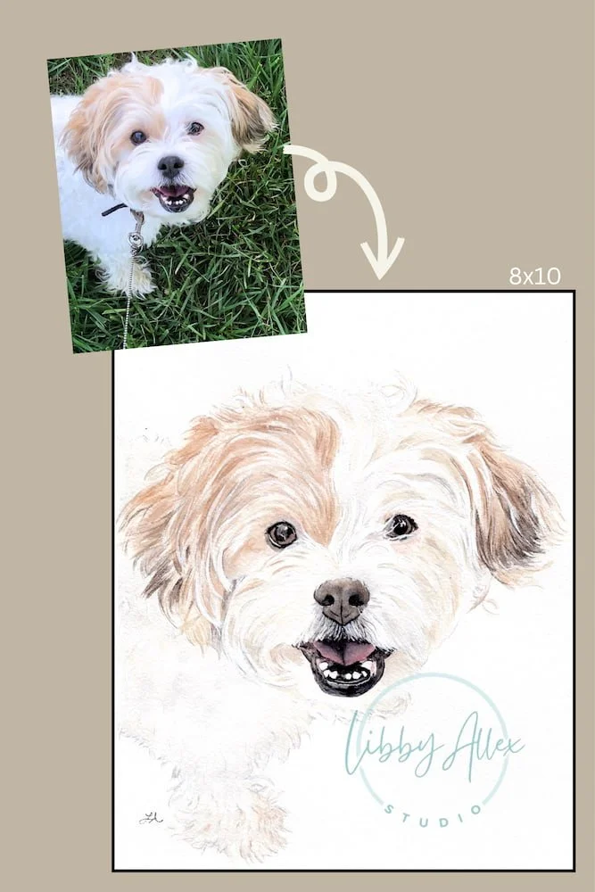 Before and After - Snowball SEO.jpg