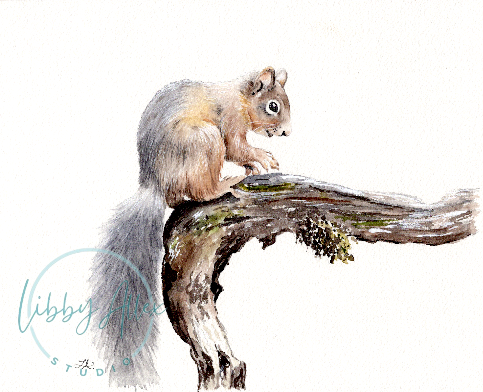 Tiny Explorer | Squirrel Fine Art Print