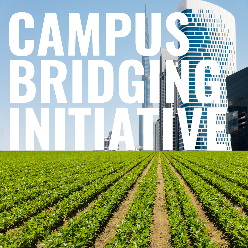 Civic Bridgers - Bridging Programs for Youth and Adults