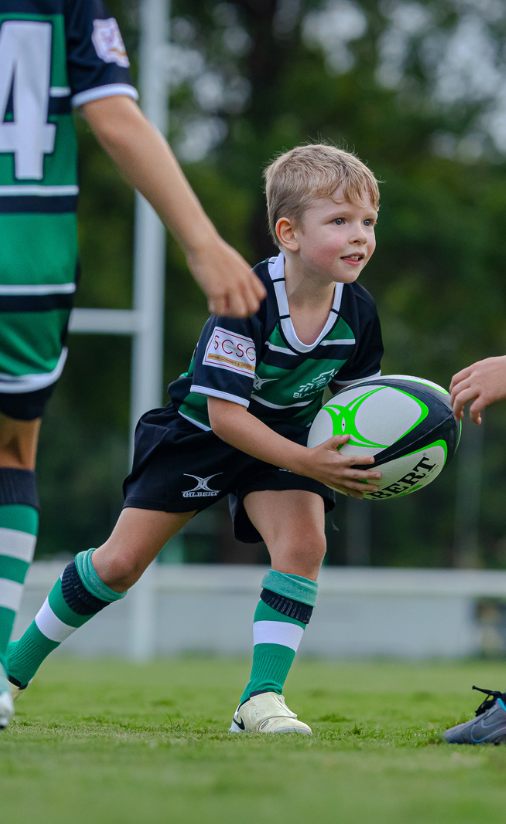 Junior Rugby Teams | Sunnybank Rugby Union — Sunnybank Rugby Club