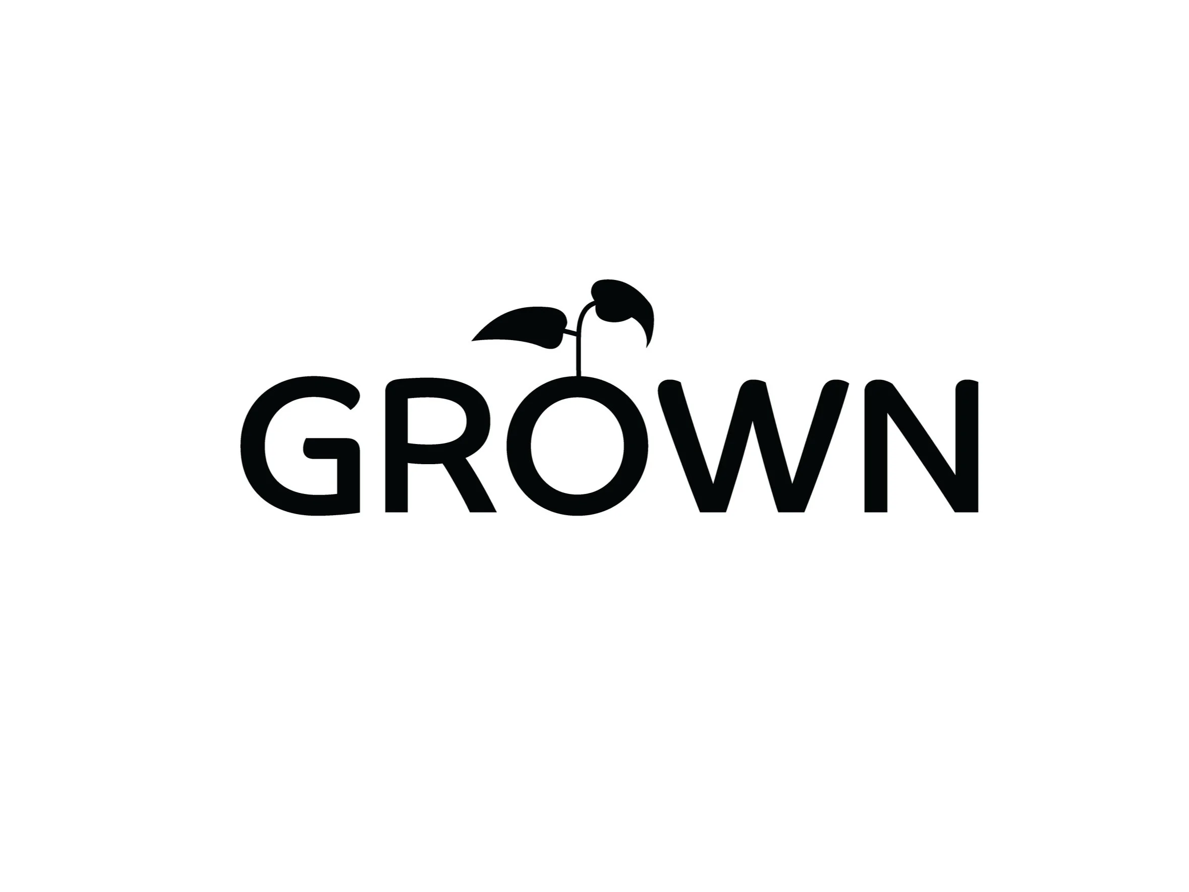 Grafa Logo 2