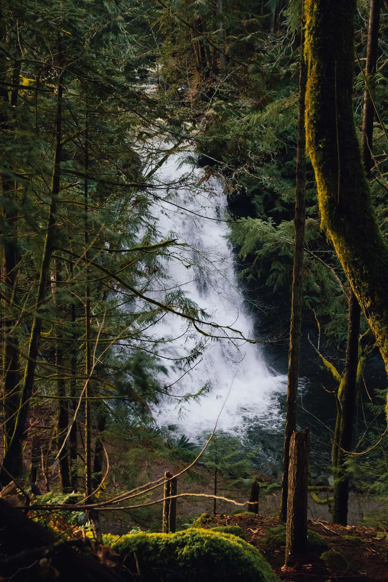 Granny Falls Nanaimo BC
