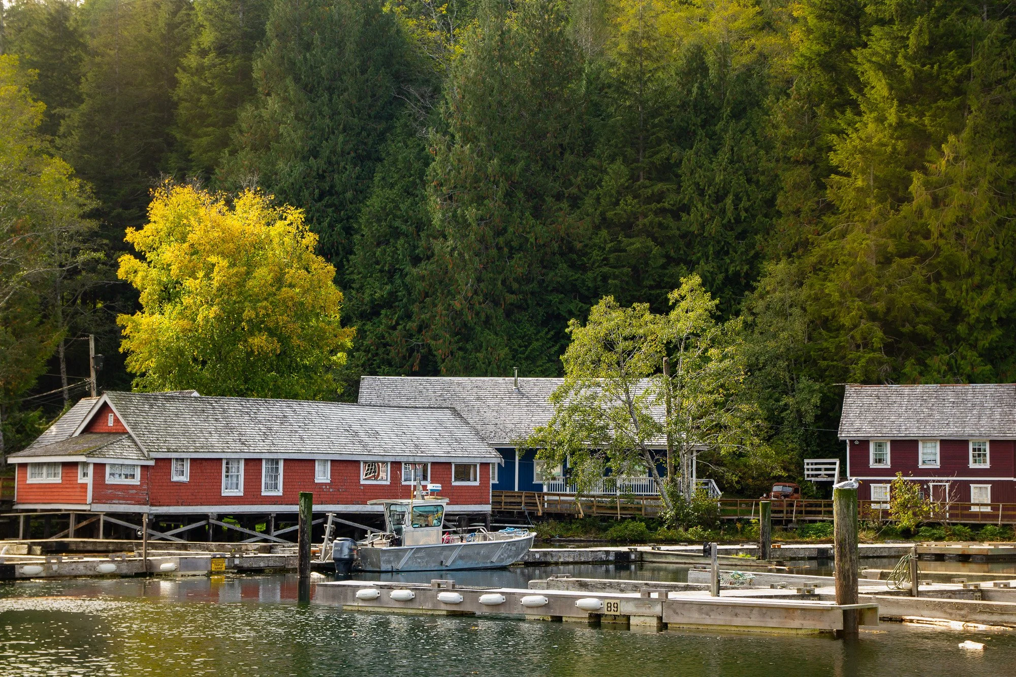 Telegraph Cove British Columbia