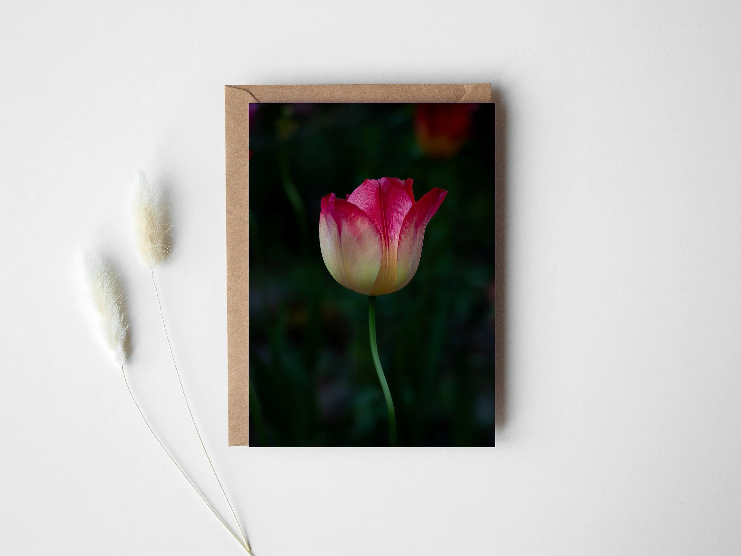 Tulip greeting card.jpg