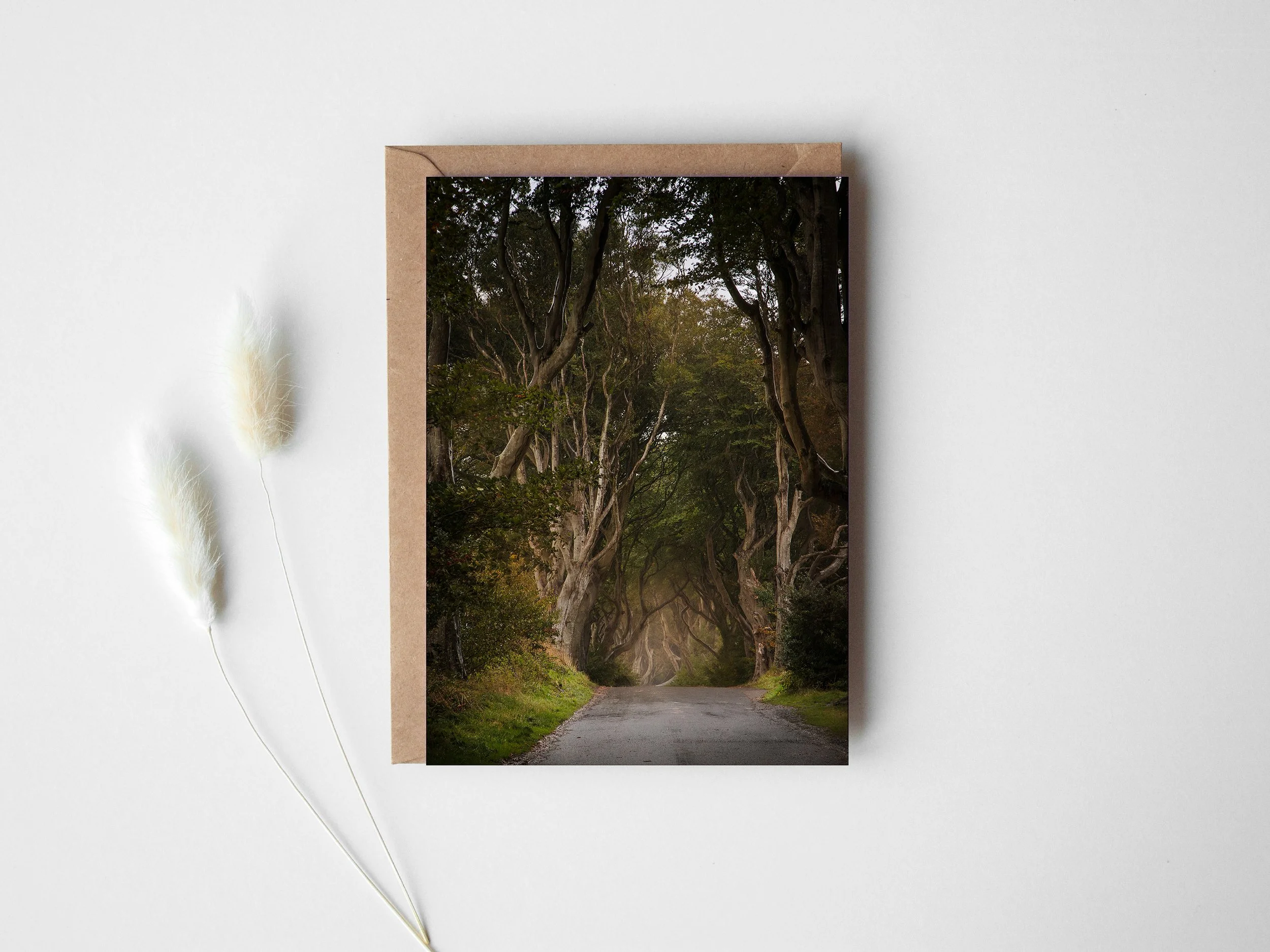 Dark Hedges greeting card.jpg