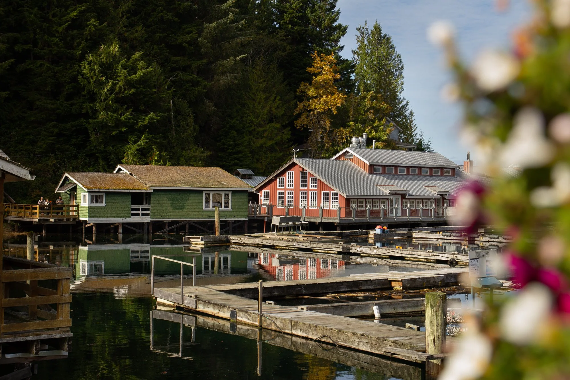 Telegraph Cove British Columbia