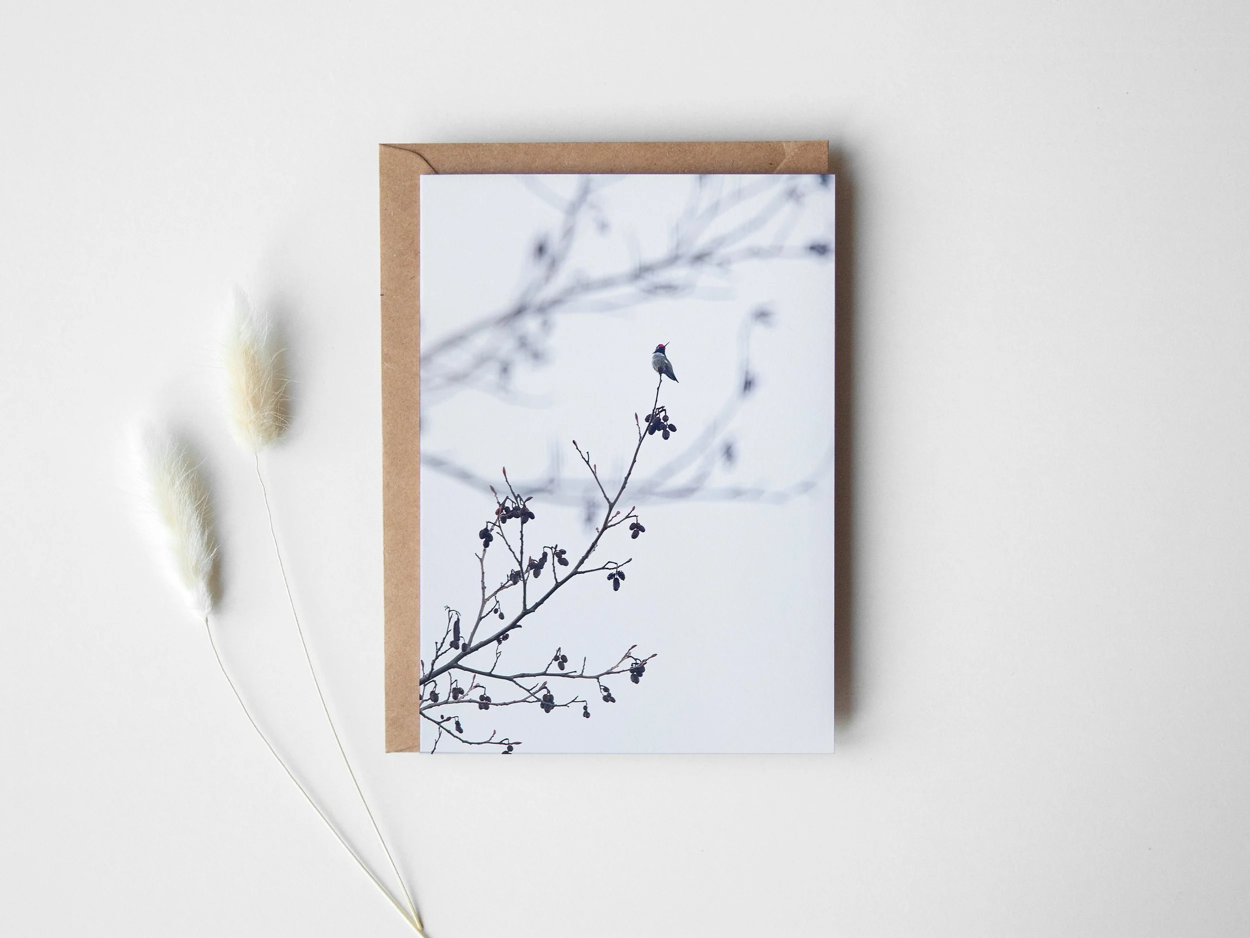 Hummingbird greeting card.jpg