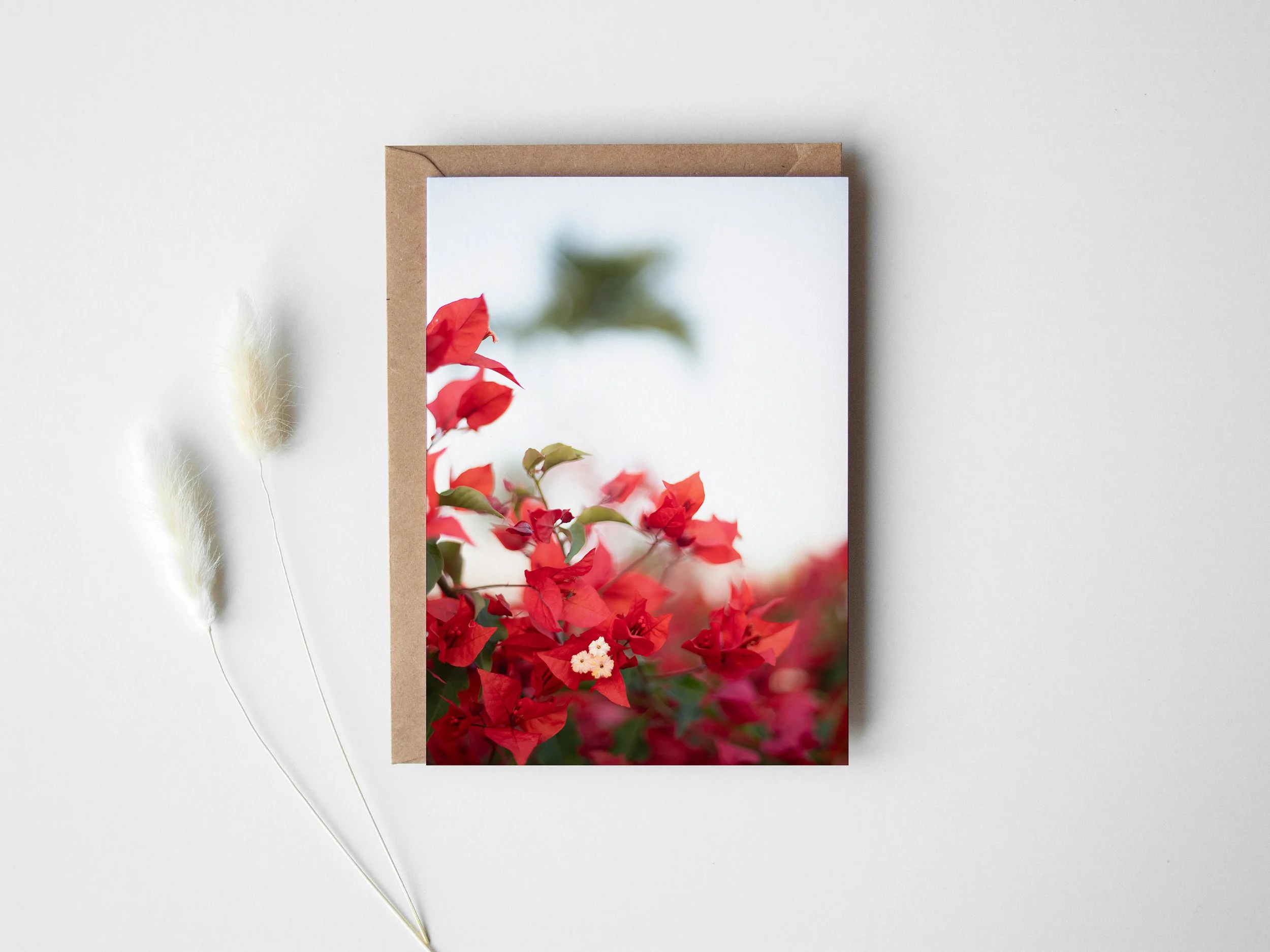 Tropical Flowers greeting card.jpg