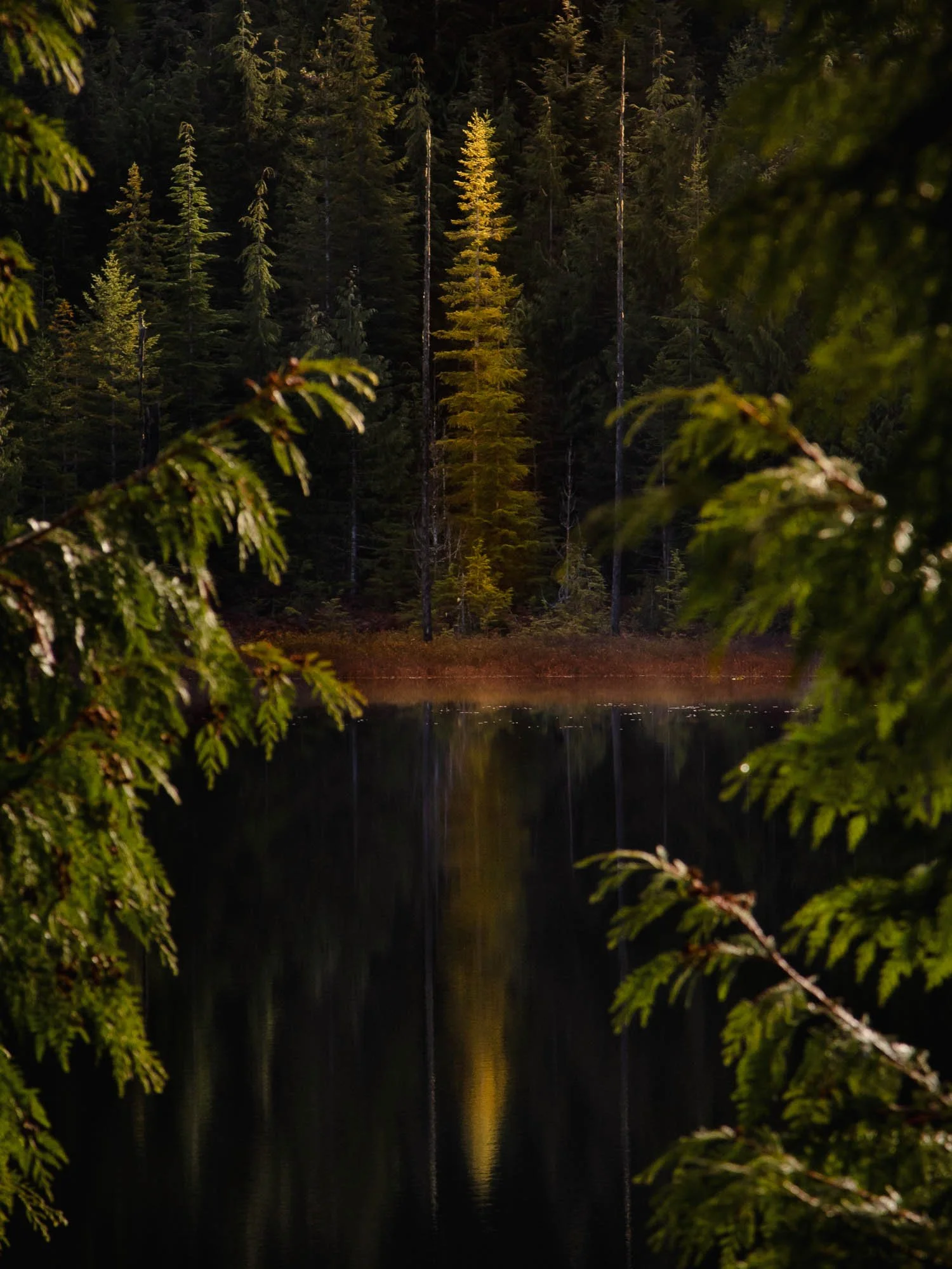 Autumn Reflection North Vancouver Island