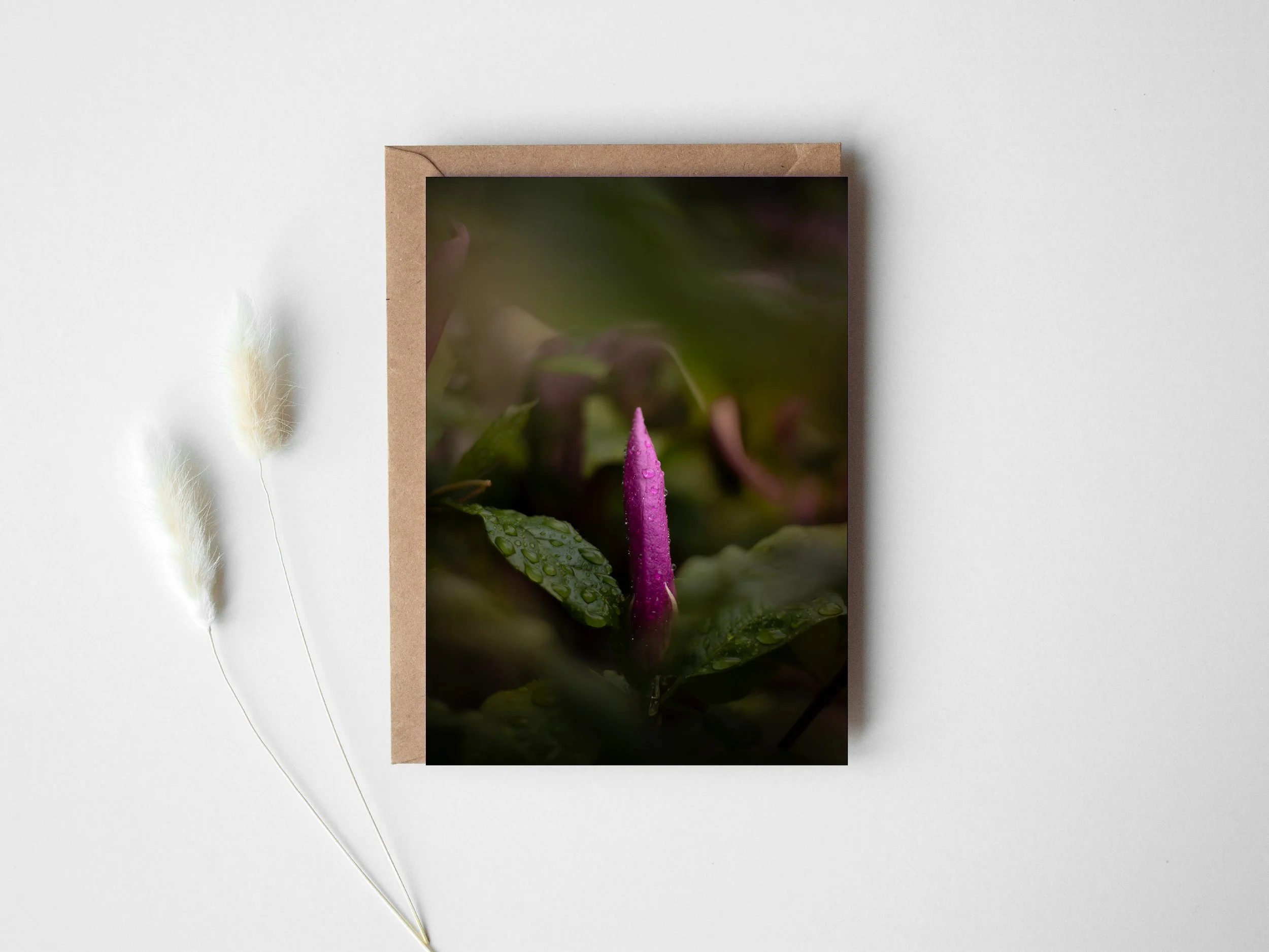 Magnolia greeting card.jpg