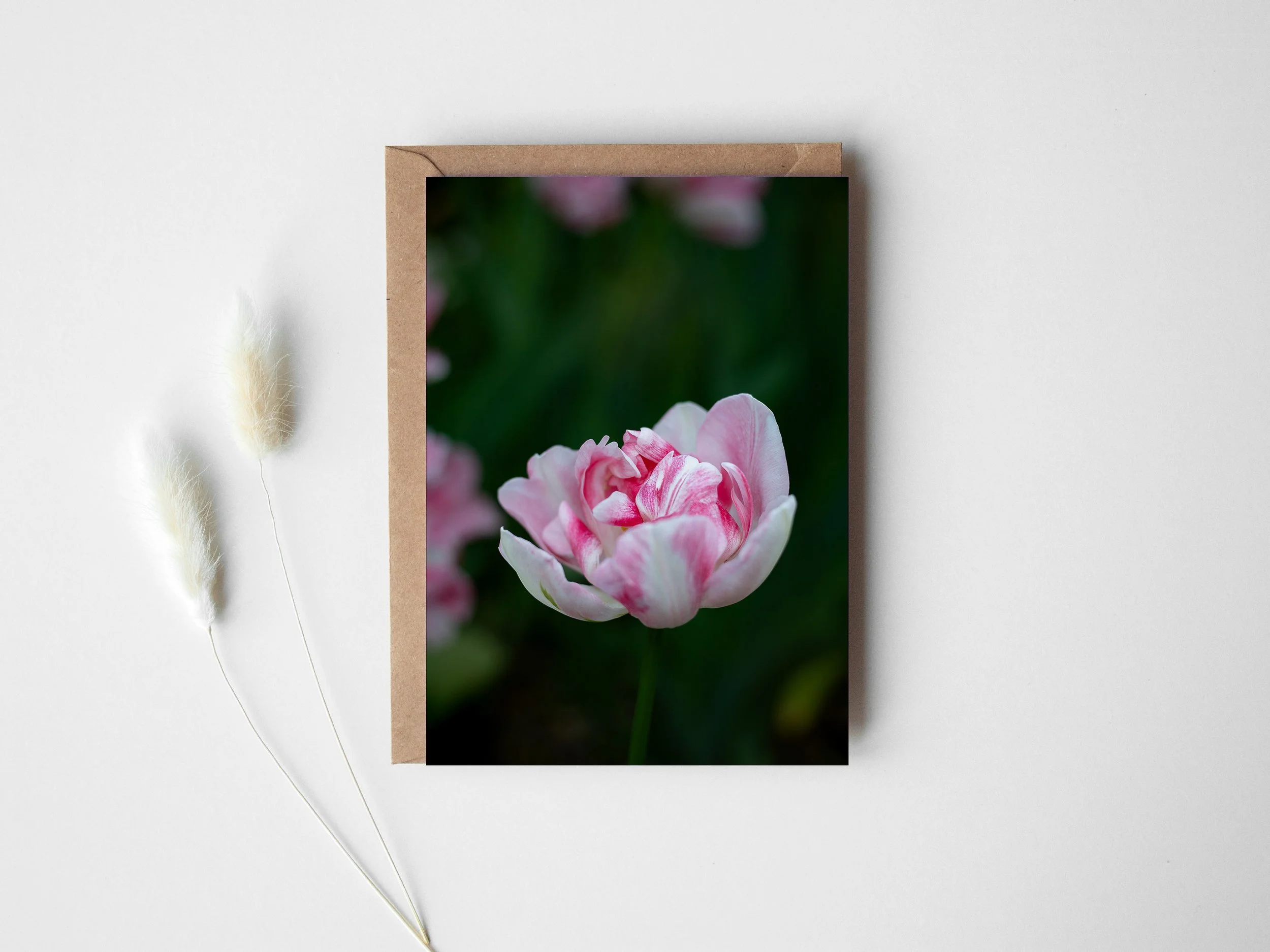 Tulip greeting card2.jpg