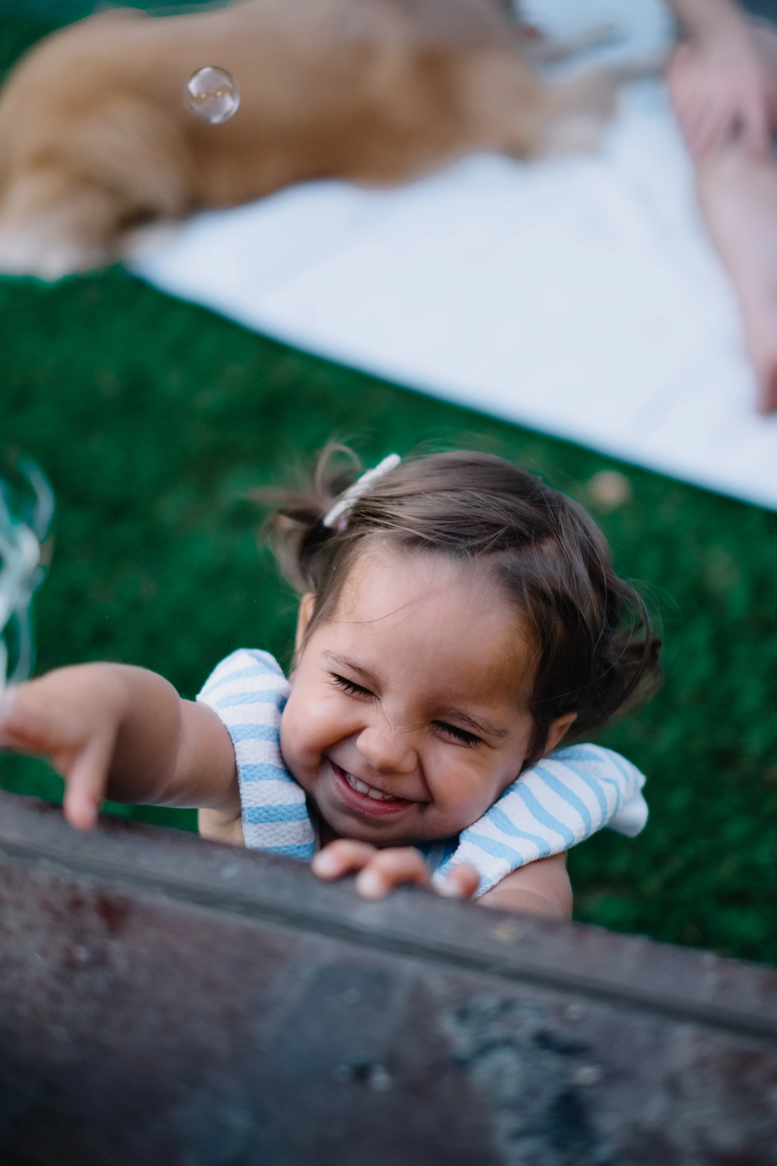 Young girl with a big smile reaching out with her hand, outside on grass, with a dog and a blanket in the background.