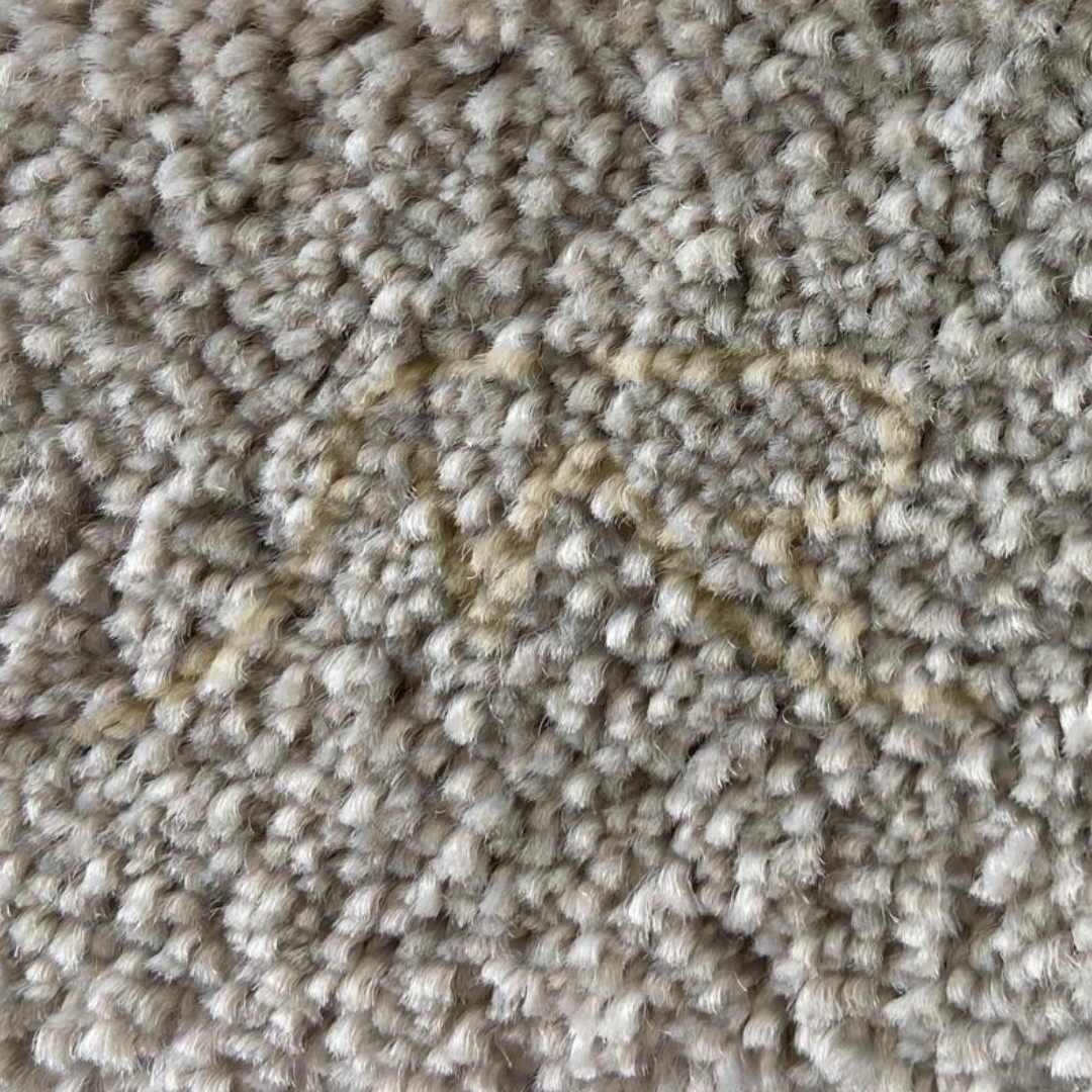 Design sem nome (55).png