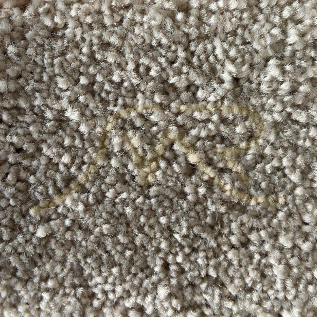 Design sem nome (51).png