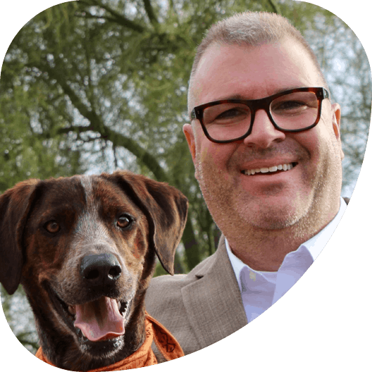 David Singer 
 Portfolio 