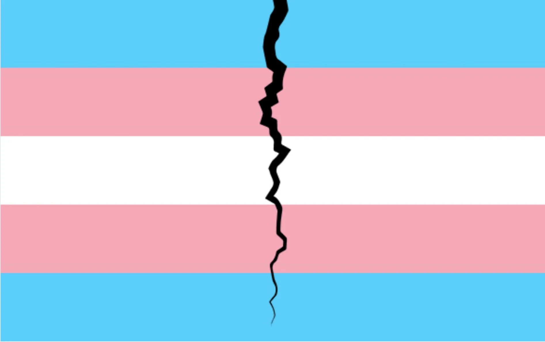 How a Free Speech Group Helped Right-Wing Dark Money Undermine Protections for Trans and Nonbinary Students