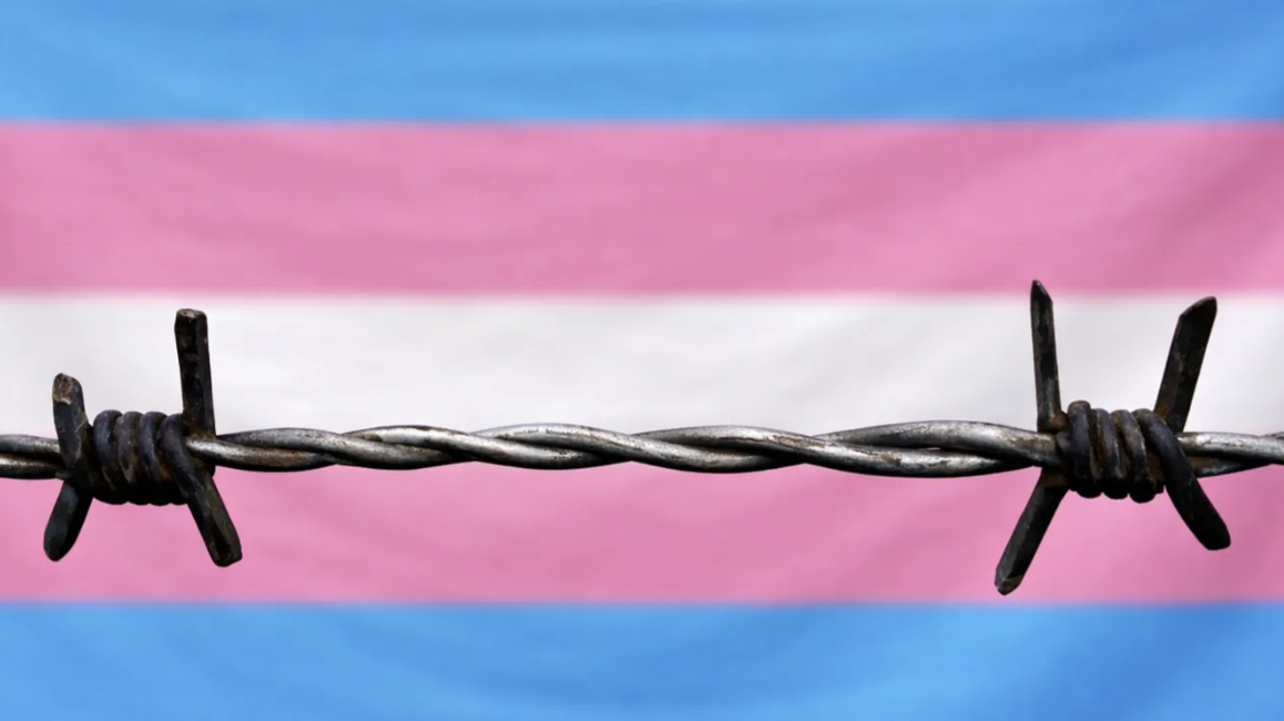 Experts Warn U.S. in Early Stages of Genocide Against Trans Americans