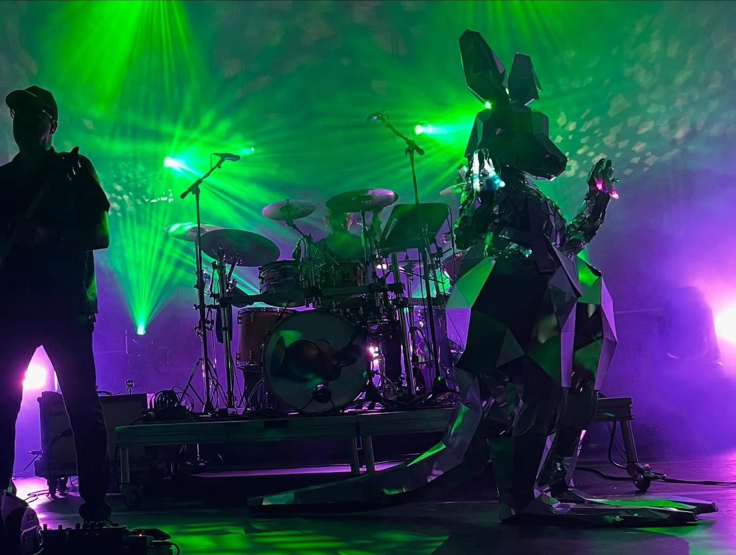 No matter how absurd or odd or surreal something is, a deeper meaning exists. Prime example: the πͺ©π¦that appeared at the πͺ· show recently in King of Prussia. Had some thoughts π€
“Lotus, Life, and Your Disco Kangaroo”
Hop on over to my