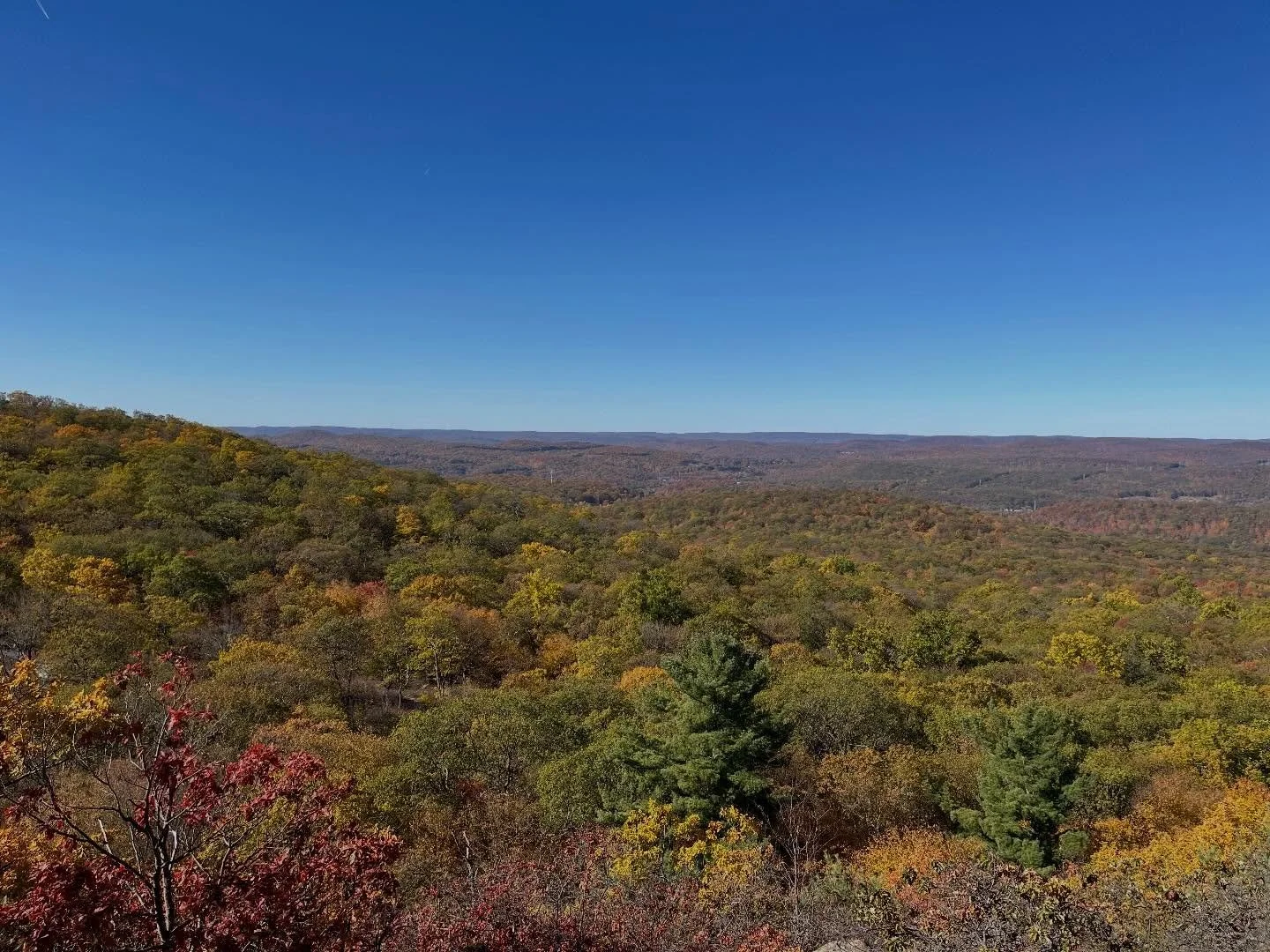 Friday. Time to reflect and celebrate.

Crazy that it&rsquo;s been a year since I started writing on my own again. Cathartic and fun for sure, and developing a site from scratch has taught me plenty.

Grateful beyond these words for all the support. 