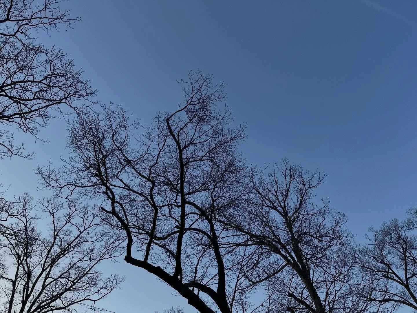 Scandinavian design. The writing of Raymond Carver. Gabe Bult&rsquo;s everyday advice. Had some fun connecting the dots&hellip;

&ldquo;Design, Literature, Lifestyle: How Less Can Be More&rdquo;

I&rsquo;m hardly a minimalist, but it&rsquo;s good pra