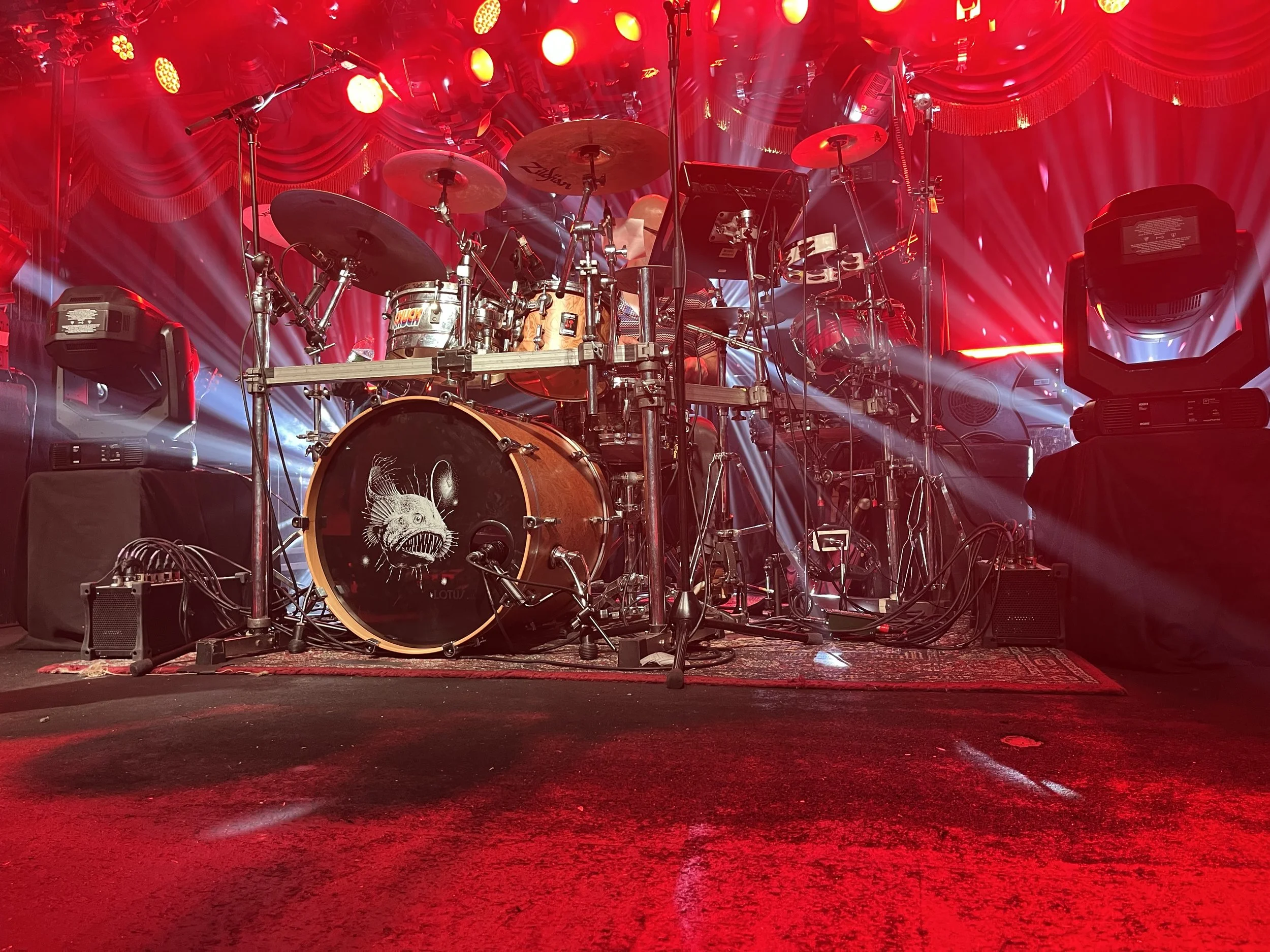 CarlSchellCreates.com Mostly Music blog Lotus Northeast Spring 2026 19.jpeg