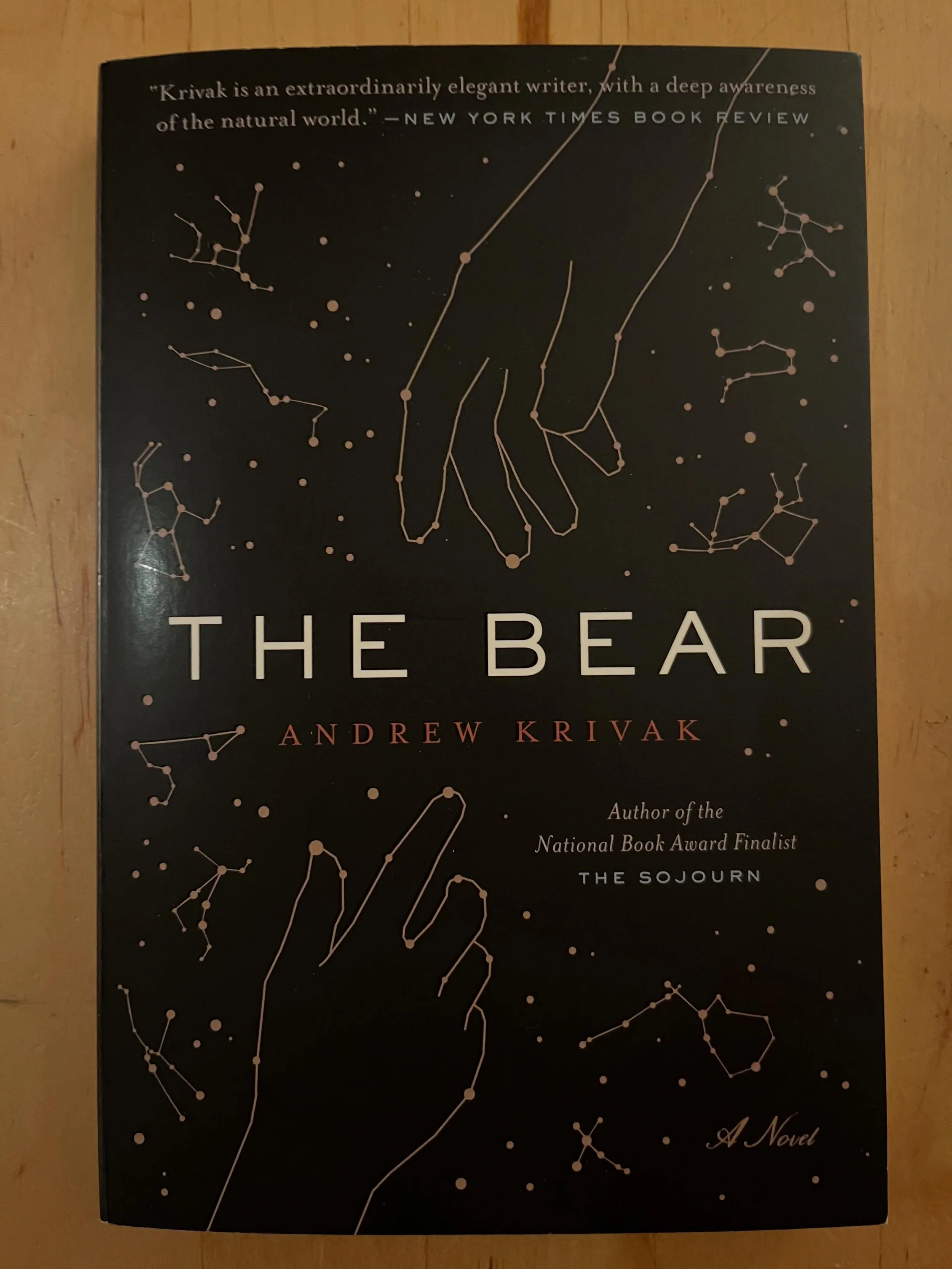 A father and his daughter. They&rsquo;re all that remains. And when he passes, she&rsquo;s left to do it on her own until a spiritual guide arrives&hellip;

The Bear
Andrew Krivak

Nature. Love and loss. A life&rsquo;s journey in fable form. The chil