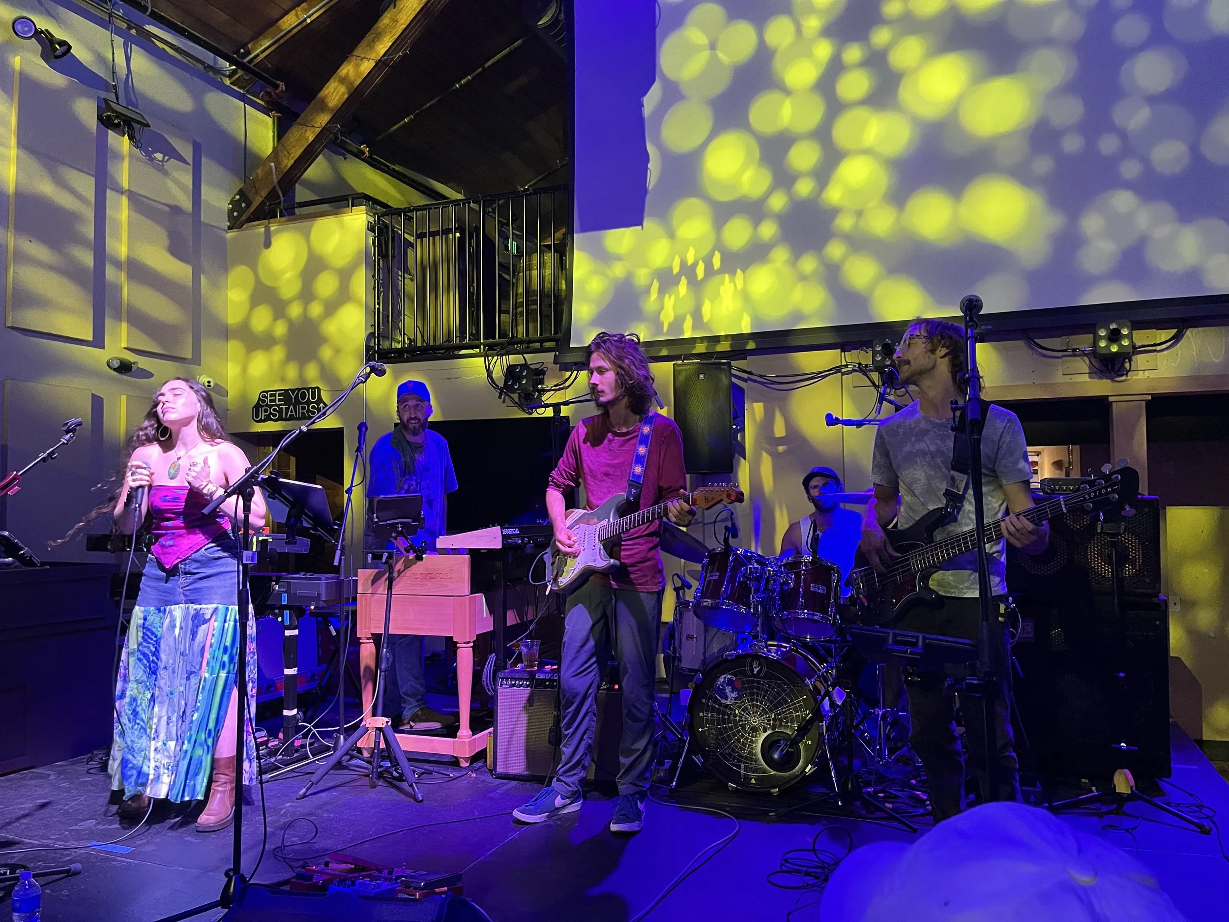 CarlSchellCreates.com Mostly Music blog Grateful Dead Tribute Bands 5.jpg