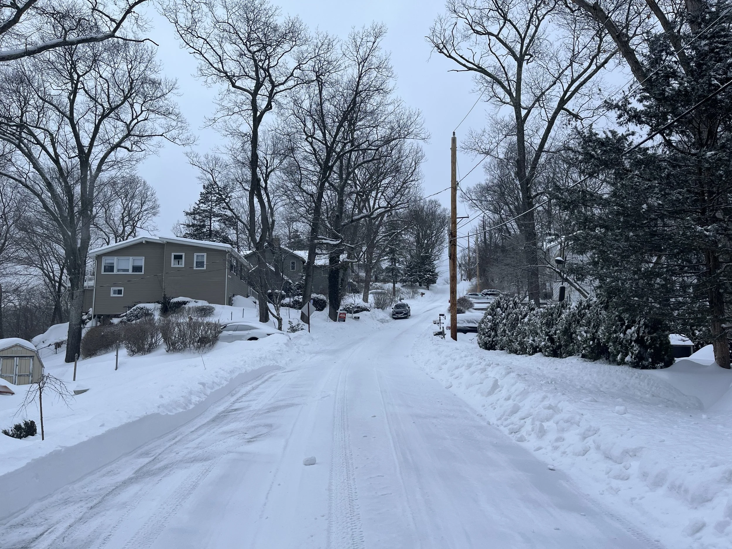 CarlSchellCreates.com Mostly Music blog Winter Snow Day 1