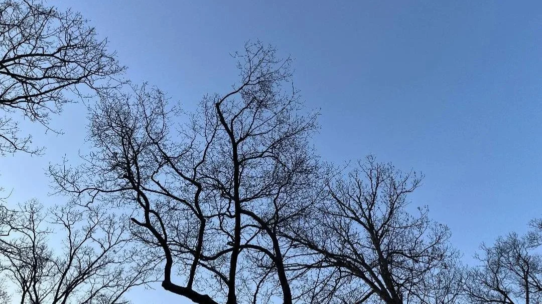 Design, Literature, Lifestyle: How Less Can Be More