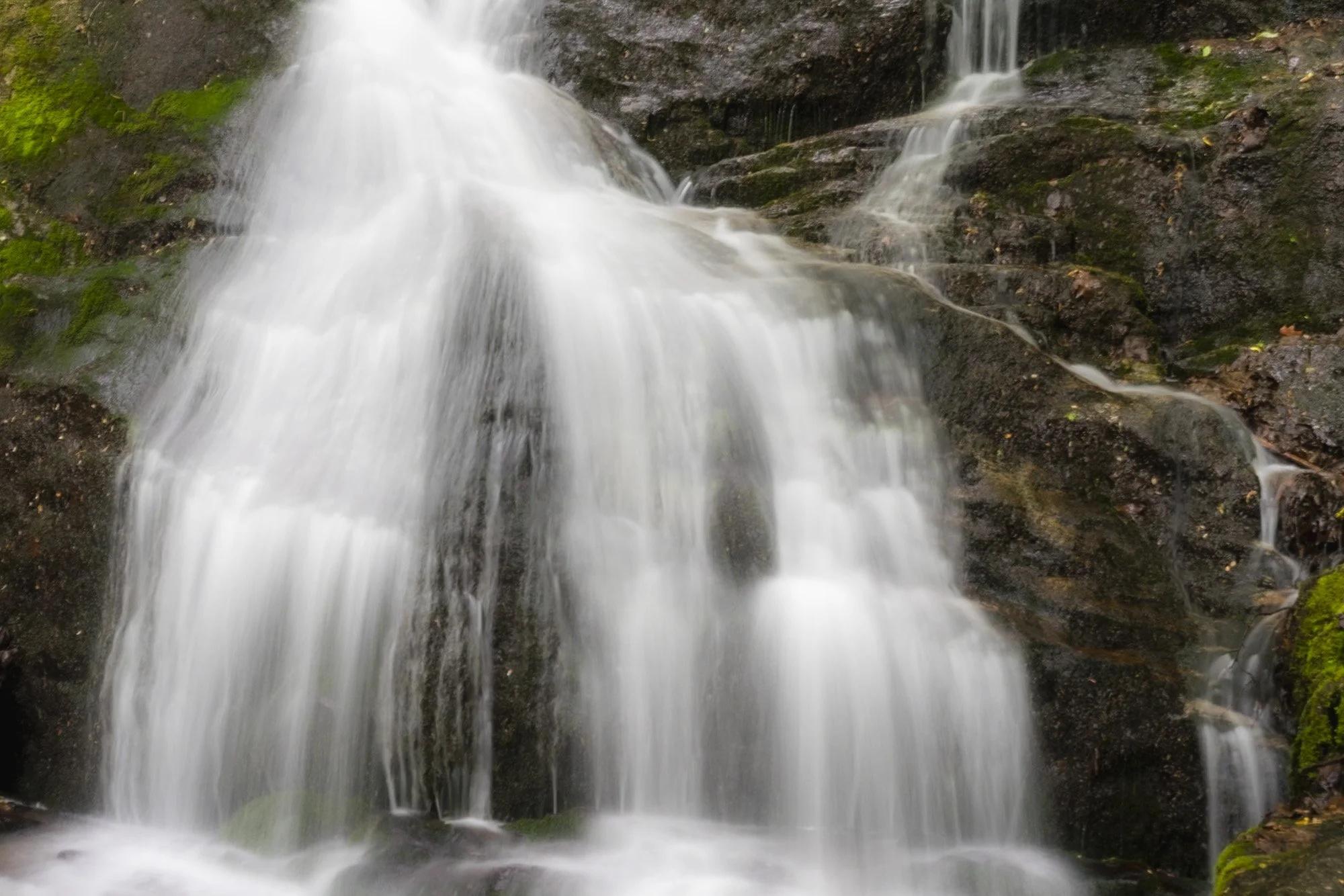 DSC03058-2.jpg