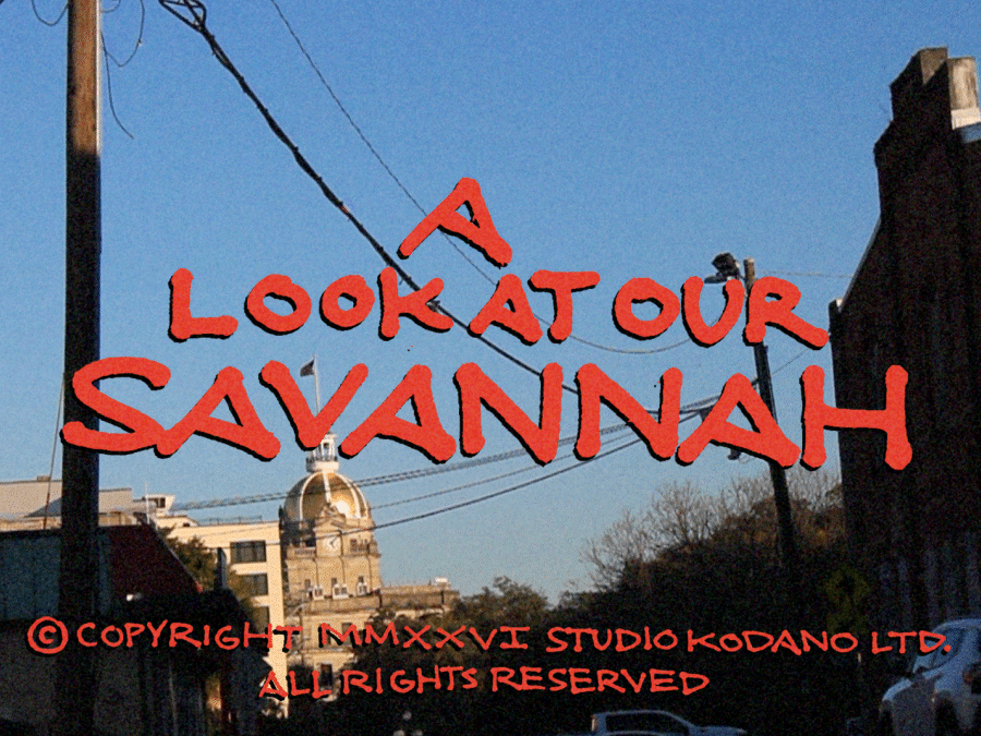 Look-@Our-Sav_Thumbnail.gif