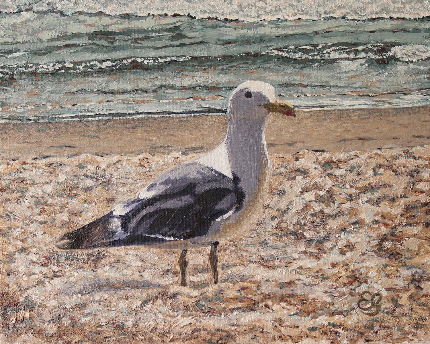 Seaside Seagull