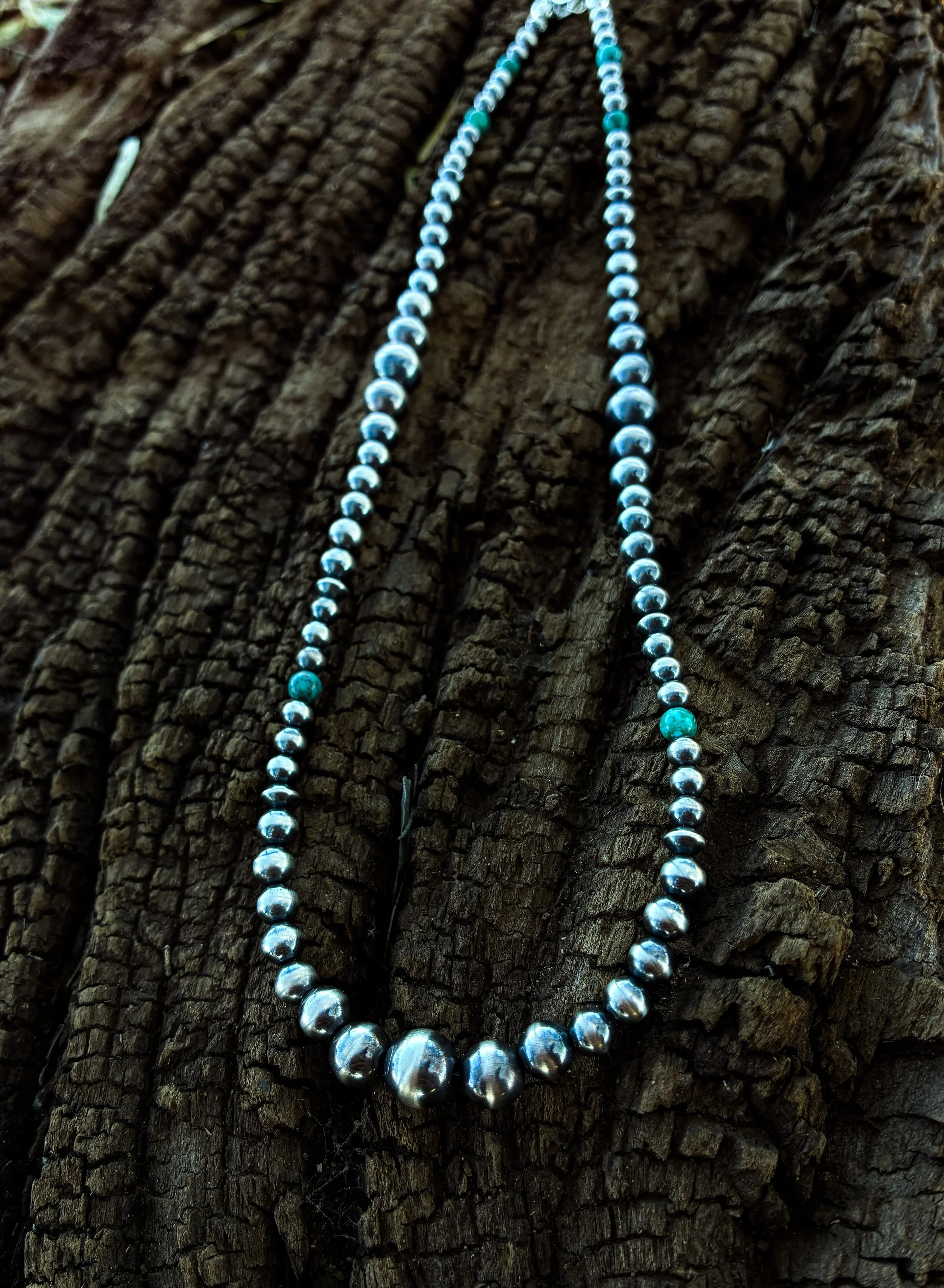 1C64B863-8E89-4F3B-B0BB-3673822E300E 2.JPEG