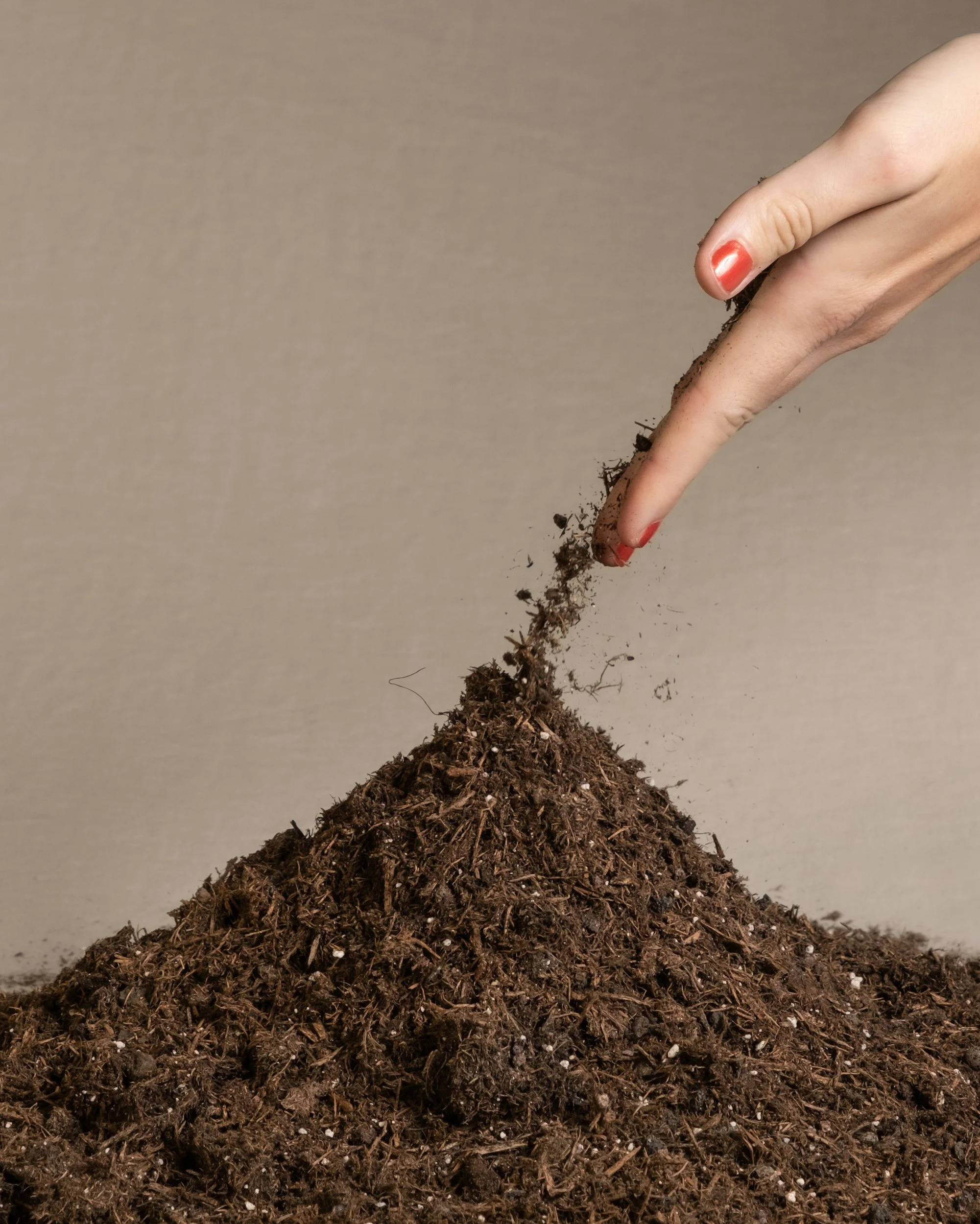 Close-up of a hand with red nail polish touching a pile of dark soil.
