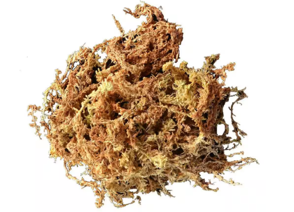 Long Fiber Sphagnum Moss 8 qts